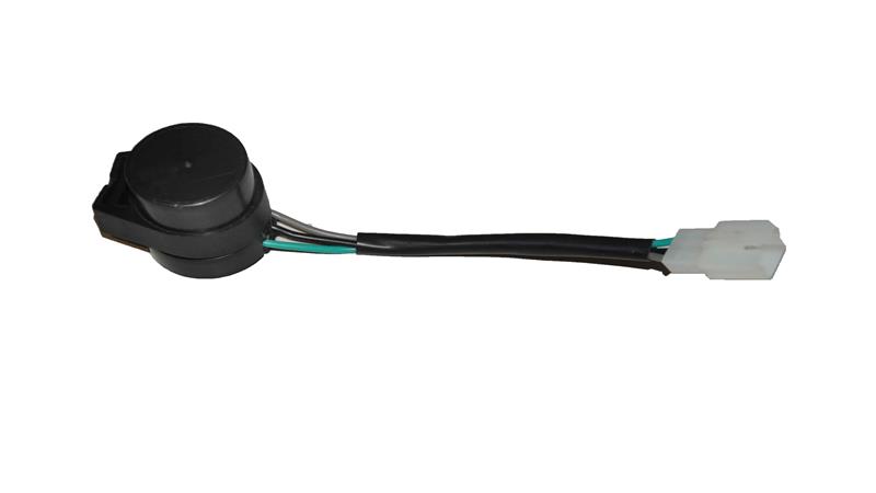 FLAŞÖR (BAYBERRY125)